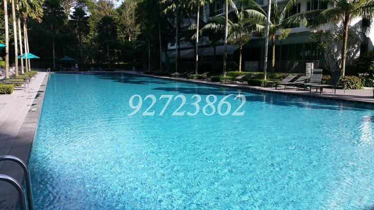 Tree House (D23), Condominium #158189752